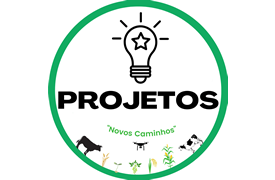 Projetos