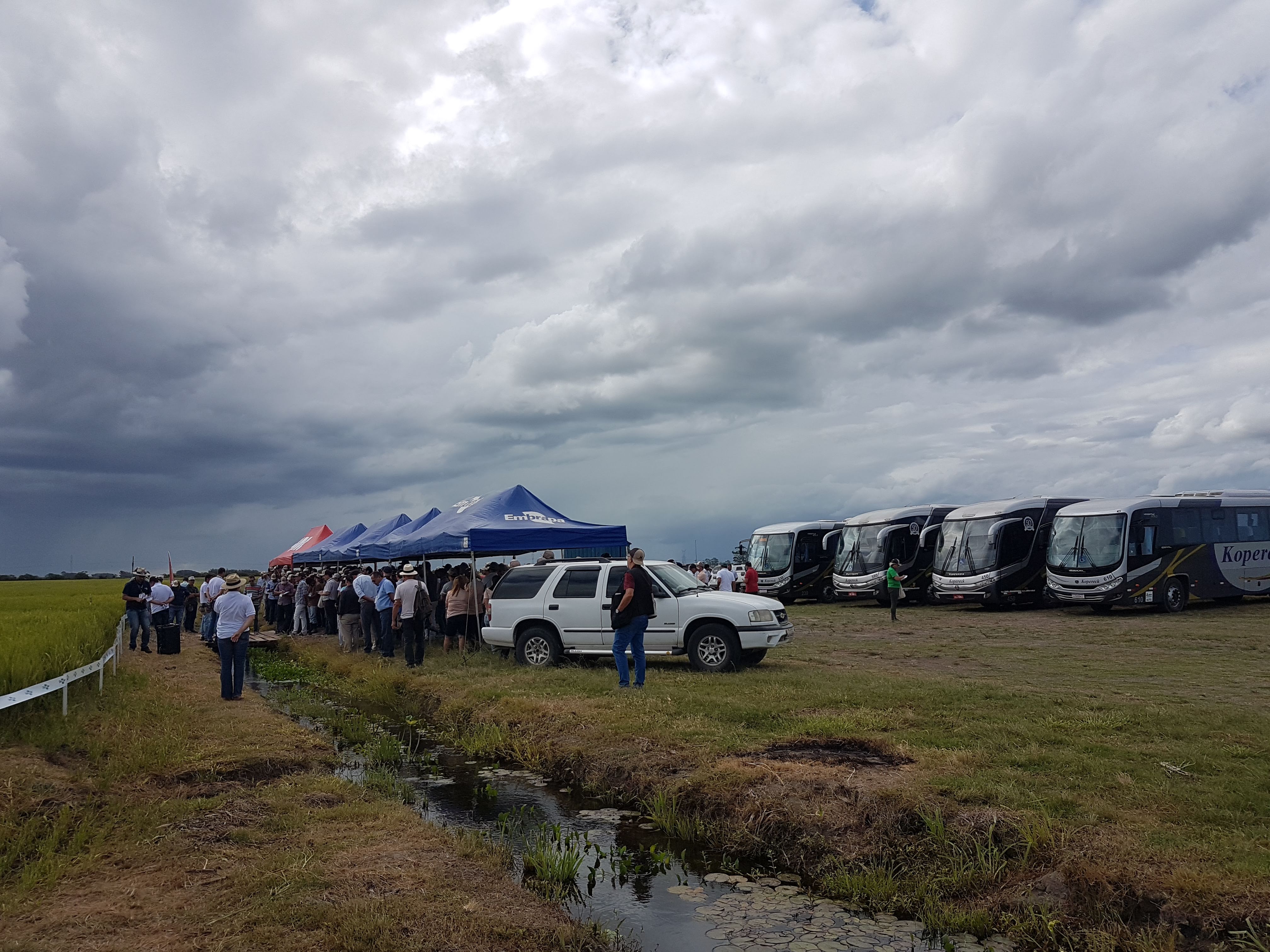 7° Conferência Internacional do Arroz de Clima Temperado