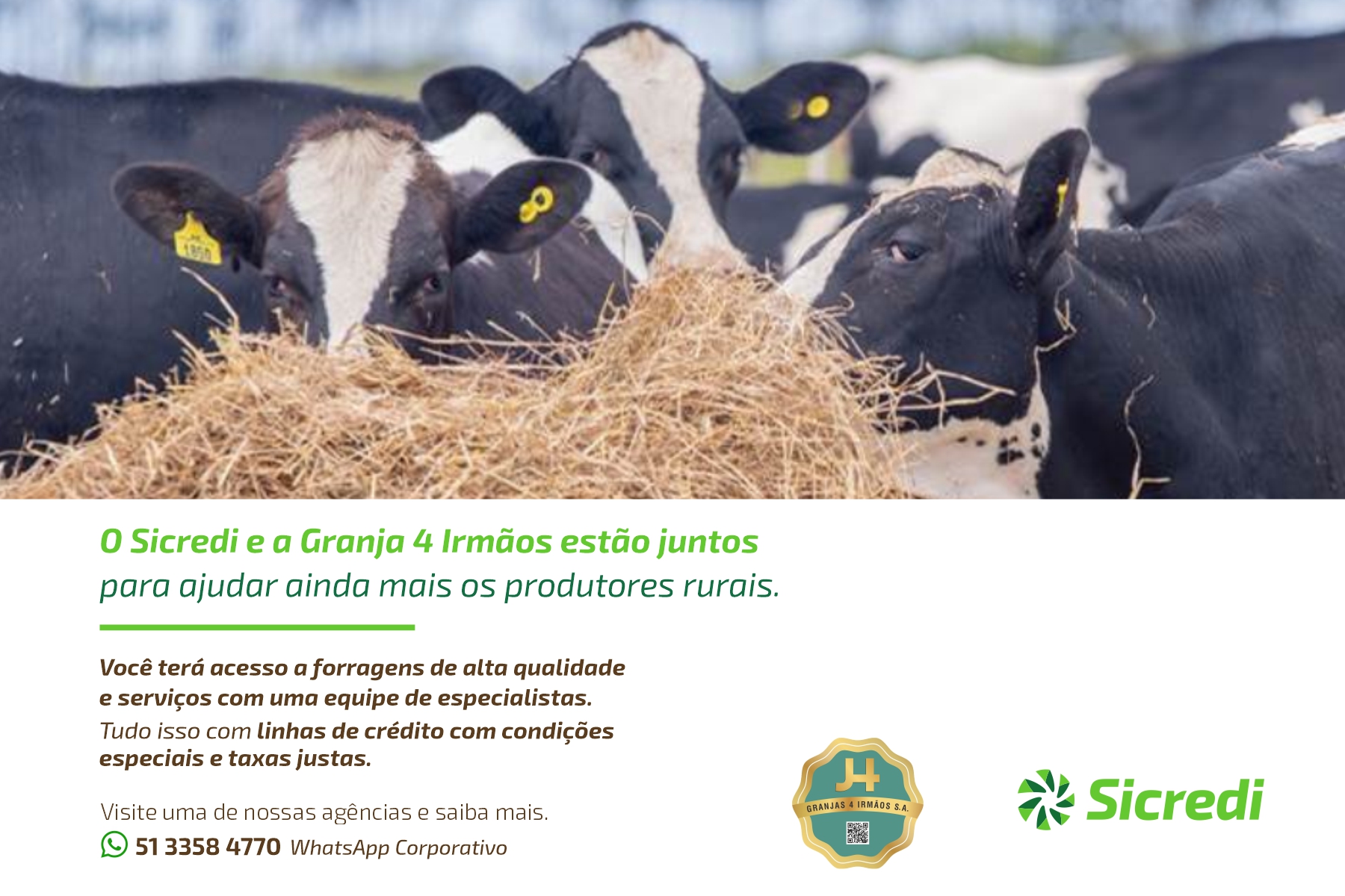 Parceria Sicredi e Granjas 4 Irmãos