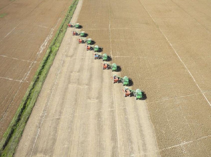 Conheça um pouco mais da Granjas 4 Irmãos